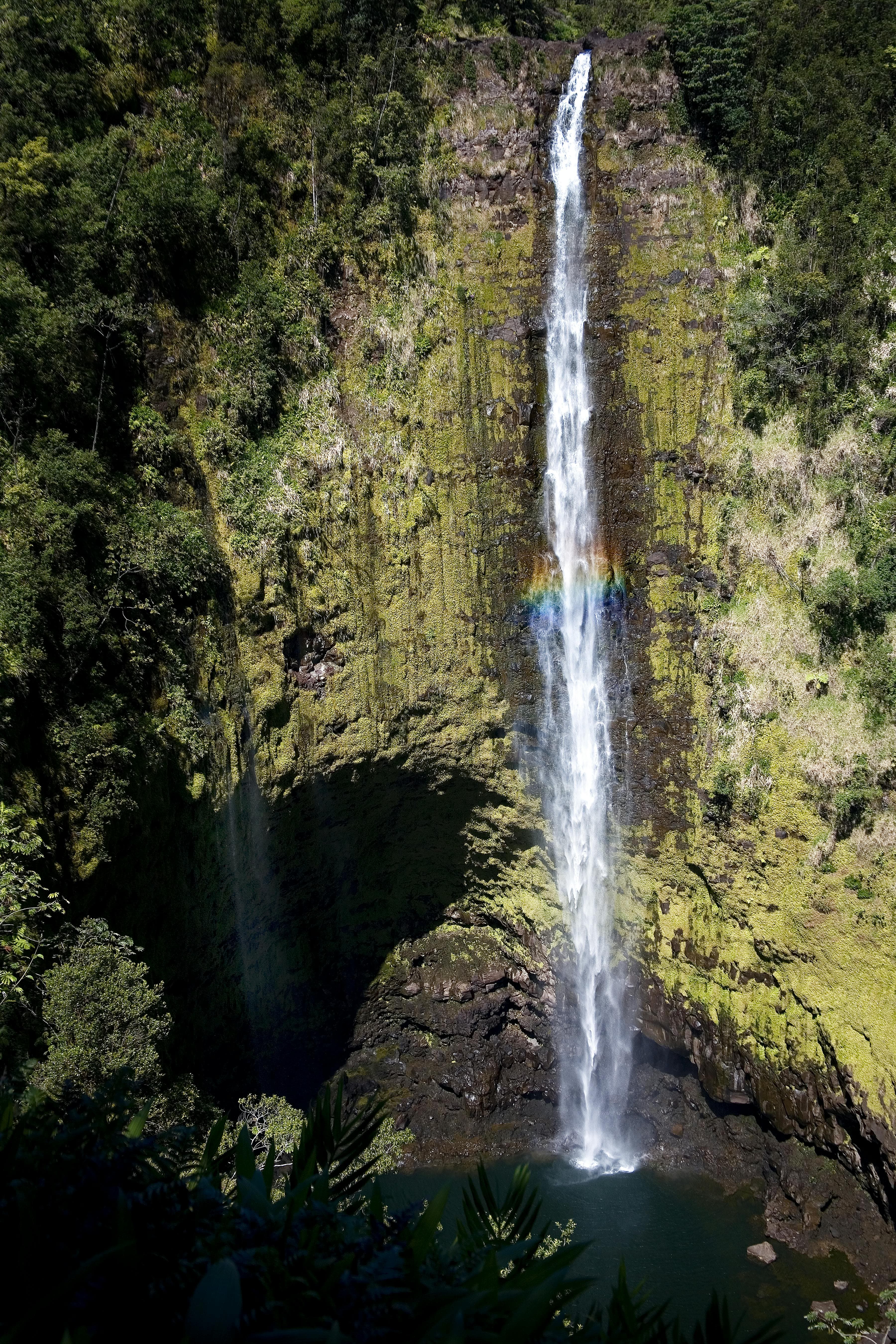 Majestic waterfall in the Oahu rainforest